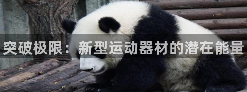 球王会体育官网下载平台注册流程图：突破极限：新型运动器材的潜