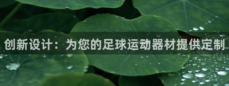 球王会体育官方正版app集团官网首页