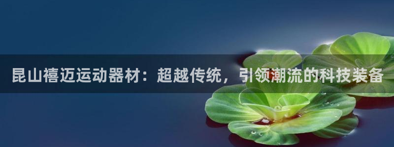 球王会体育官网下载平台注册流程图：昆山禧迈运动器材：
