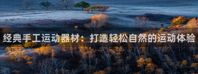 球王会体育官网下载平台注册流程图：经典手工运动器材：