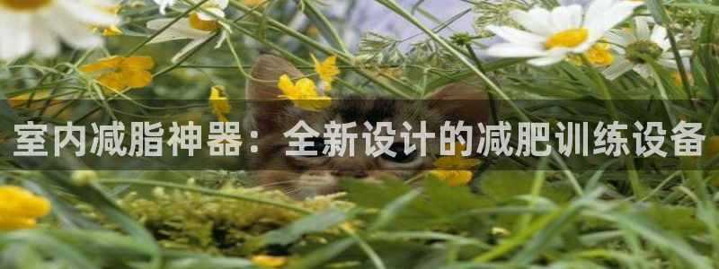 球王会体育官网下载平台注册：室内减脂神器：全新设计的