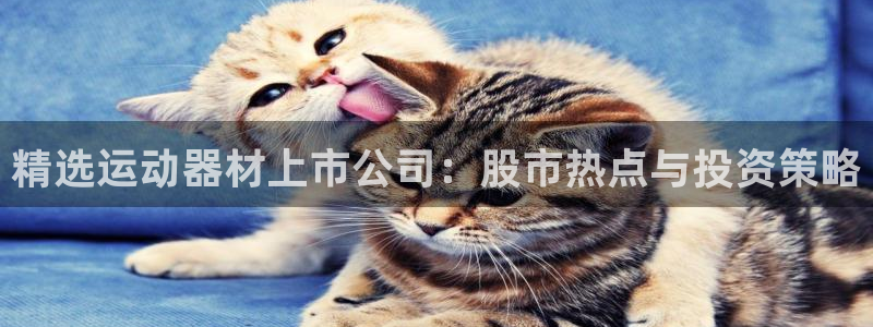 球王会体育官网下载平台注册要钱吗是真的吗：精选运动器材上市公