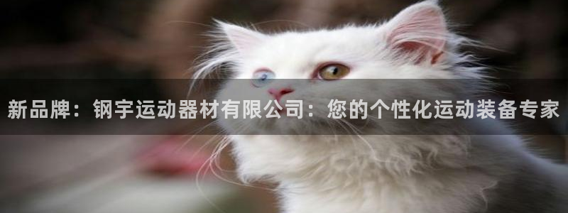 球王会体育官网下载平台是正规平台吗安全吗：新品牌：钢