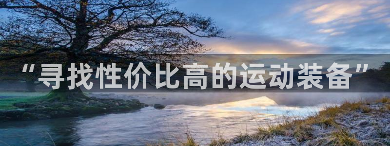 球王会体育官网下载平台假的吗是真的吗：“寻找性价比高的运动装