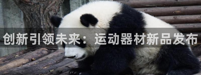 球王会体育官方正版app集团官网网址