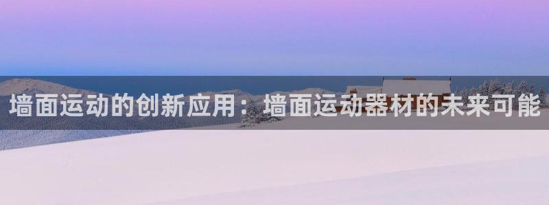 球王会体育官方正版app代理