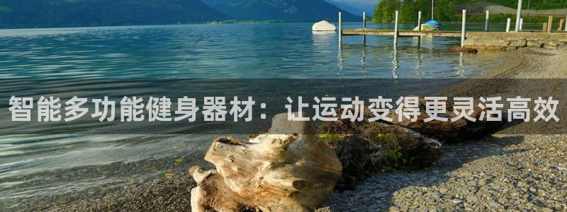 球王会体育官方正版app娱乐平台