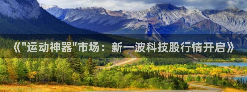 球王会体育官方正版app代理