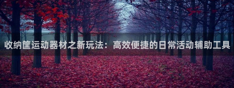 球王会体育官方正版app集团官网首页：收纳筐运动器材之新玩法